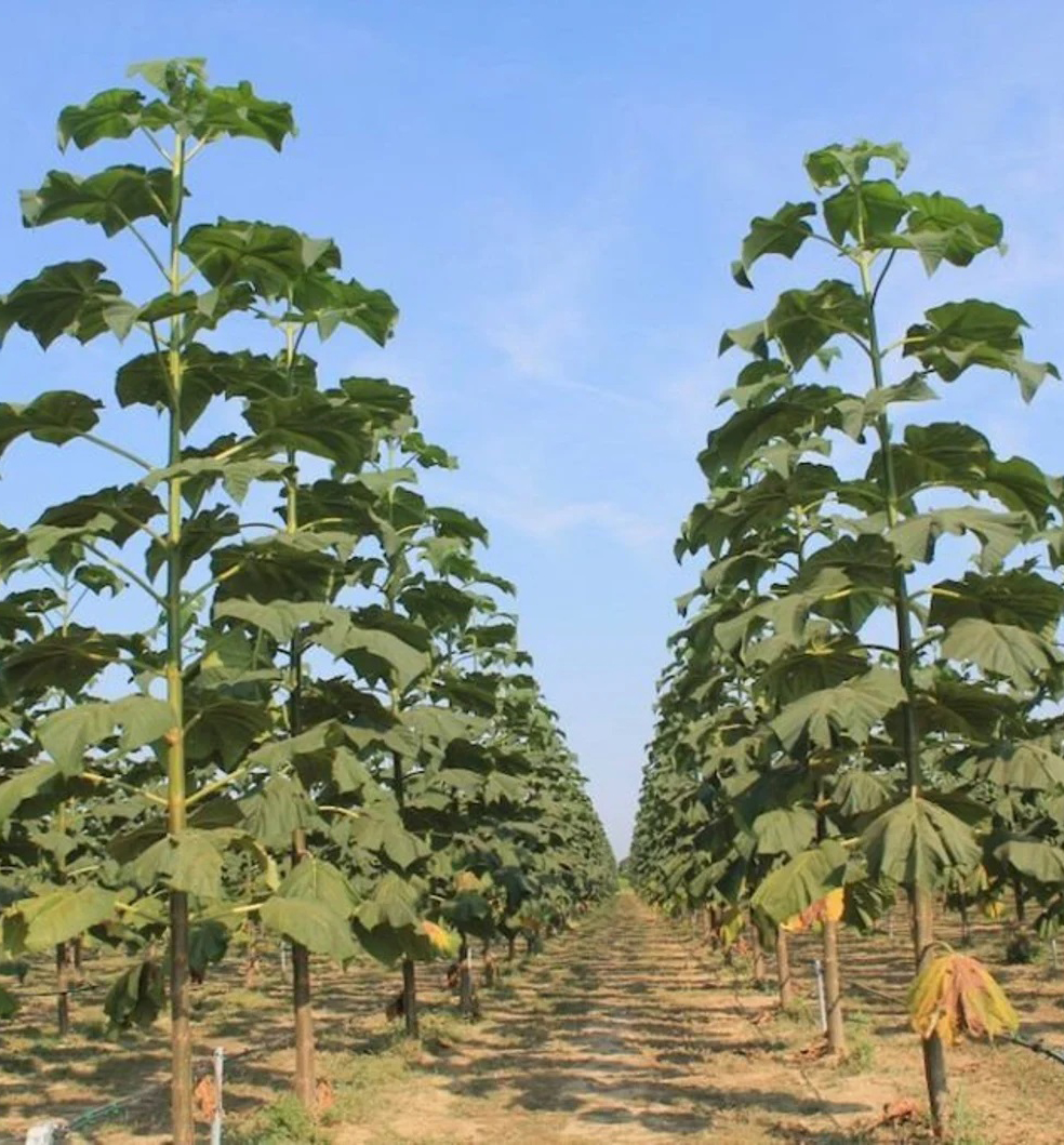 🚀 Zainwestuj w przyszłość już dziś! 2